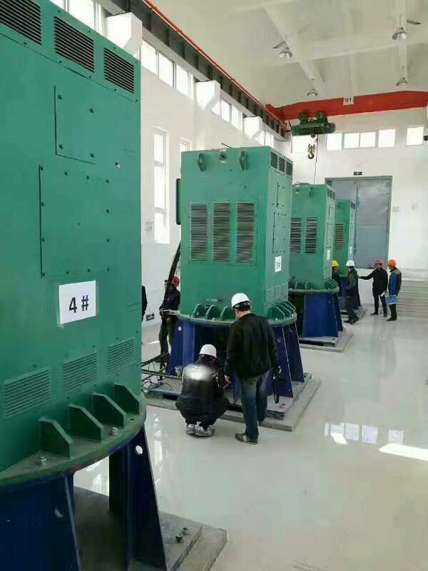 盘县某污水处理厂使用我厂的立式高压电机安装现场安装尺寸